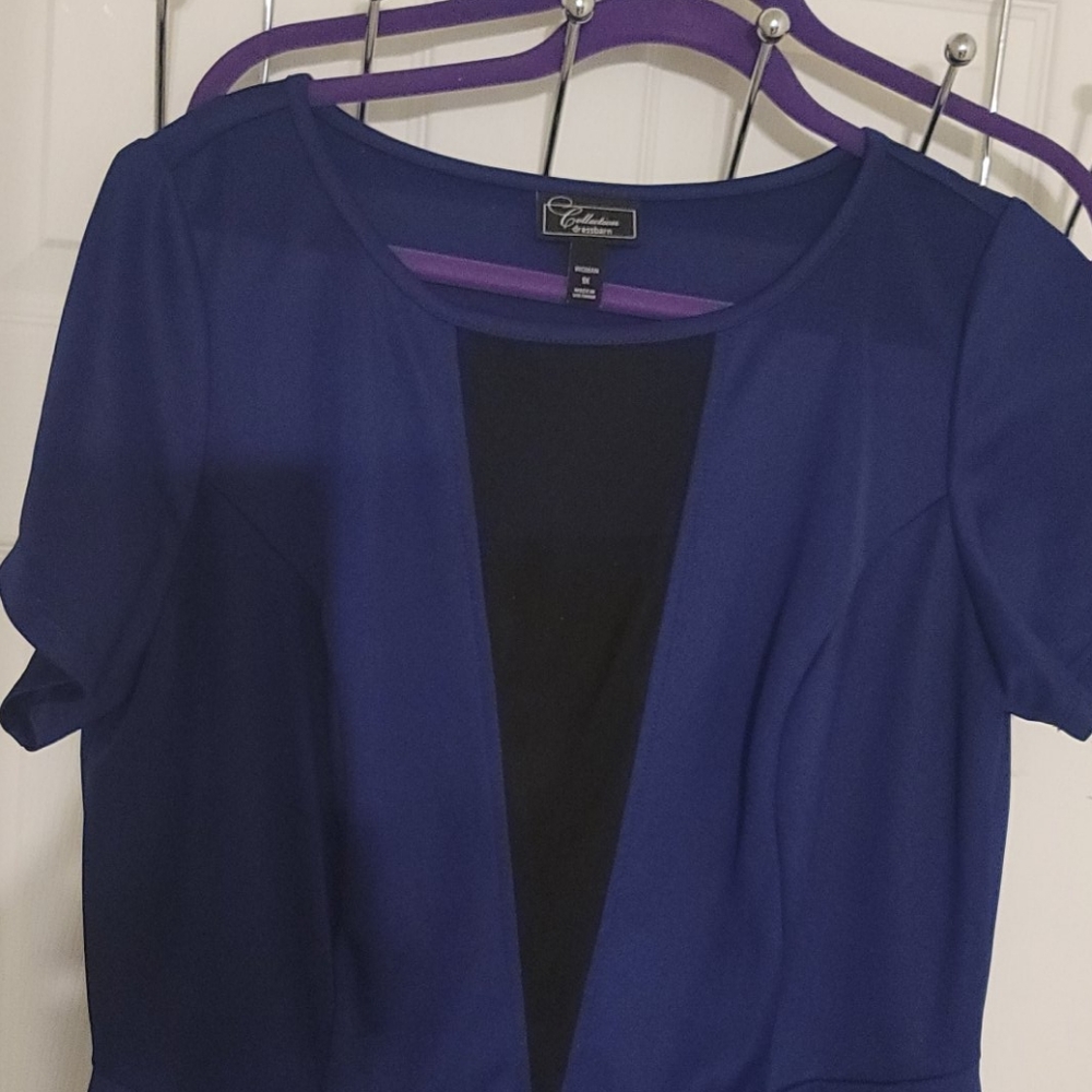 1X Dk Purple DressBarn Collection knee length